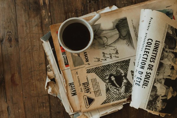 Descubre cómo instruir a tu loro para que realice sorprendentes trucos